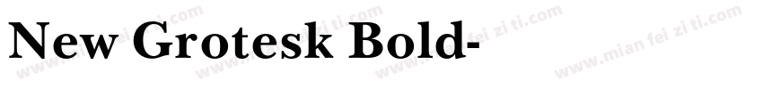 New Grotesk Bold字体转换